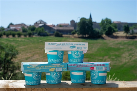 Yaourt de brebis bio x 2